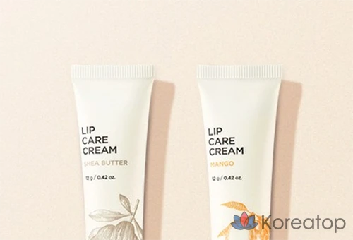 Бальзам для губ FMGT Lip Care Cream, оттенок 01 Shea Butter, 12 г, 1 шт.