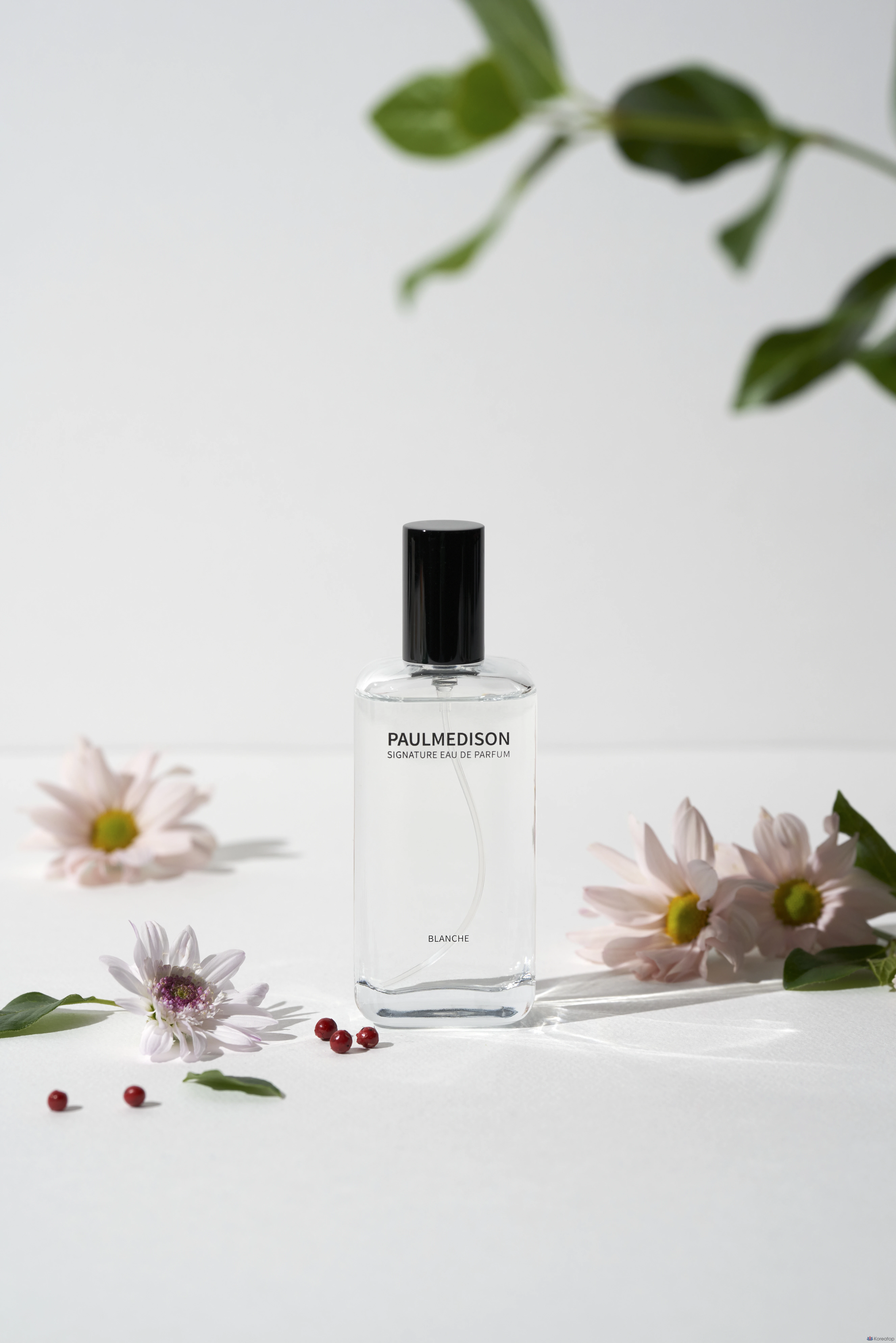 Парфюмерная вода Paul Medison Signature Blanche Eau de Parfum, 50 мл, 1 шт.