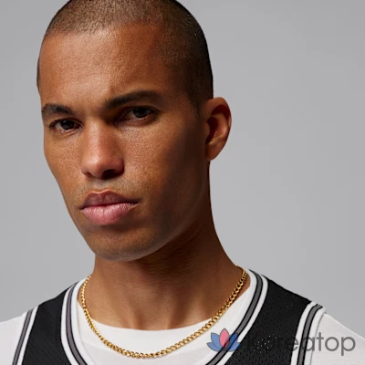 Джерси мужское Jordan Brooklyn Mesh Jersey