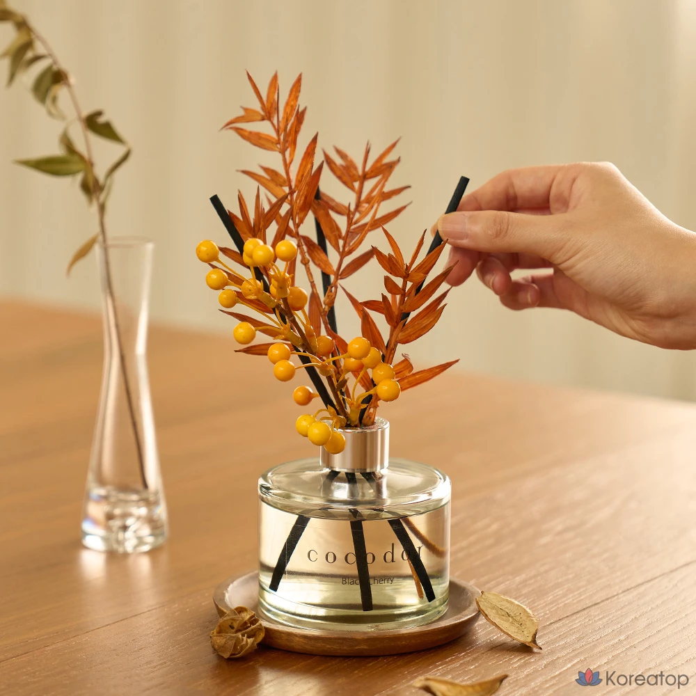 Диффузор для дома Cocodor Perfume Autumn Diffuser Set, Black Cherry, 200 мл, 2 шт.