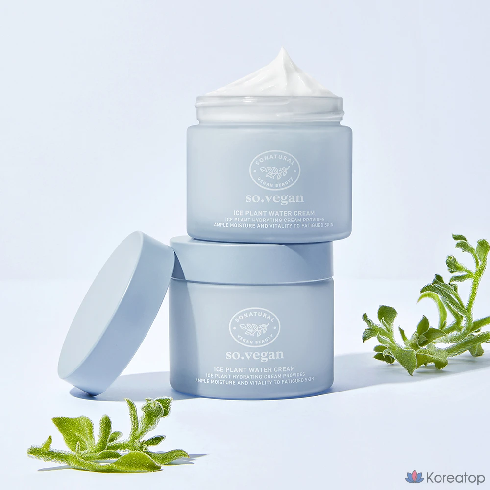 Крем для лица So Natural So Vegan Ice Plant Water Cream, 70 мл, 1 шт.