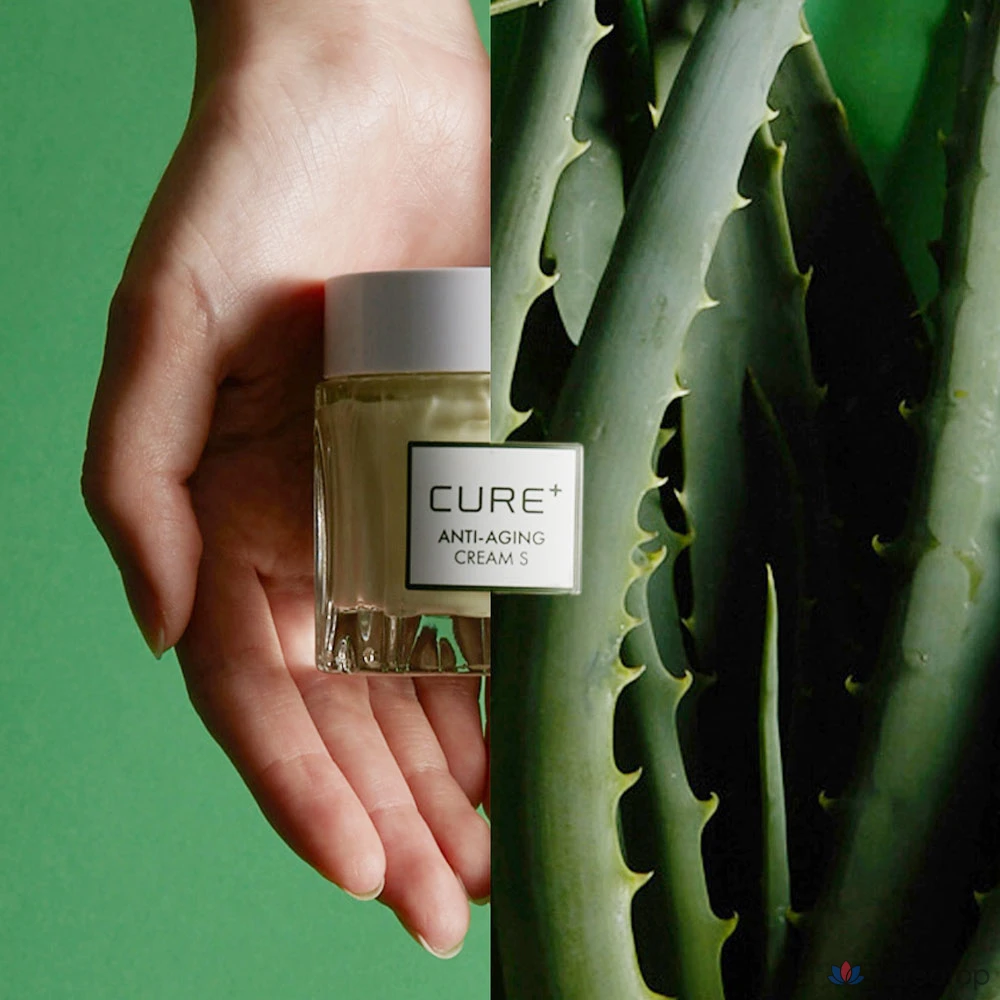 Крем KIM JEONG MOON Aloe Cure Anti-Aging Wrinkle Elasticity Cream S Brown Edition, 50 г, 1 шт.