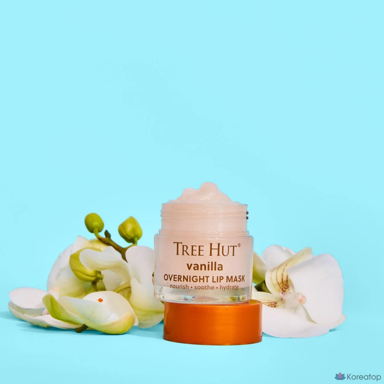 Бальзам для губ Burt's Bees Tree Hut Overnight Lip Mask, оттенок Vanilla, 17 г, 2 шт., фото 3