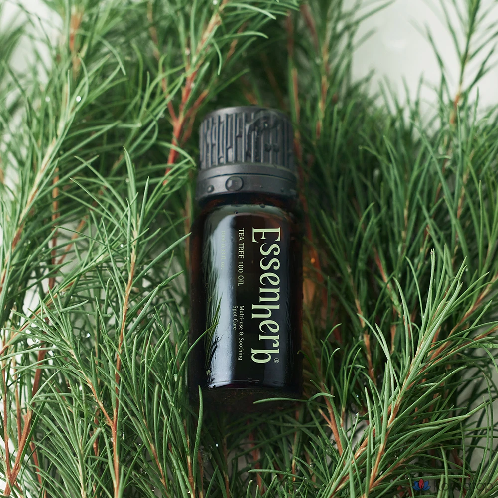 Гидрофильное масло EssenHerb Tea Tree 100 Oil, 10 мл, 1 шт.