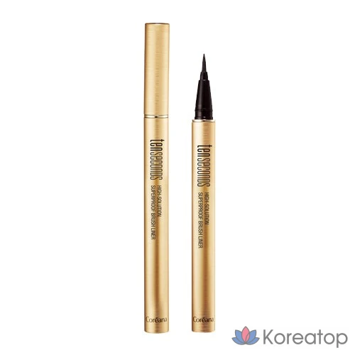 Подводка для глаз Coreana 10 Seconds Brush Liner, оттенок 01 Black, 1 шт.