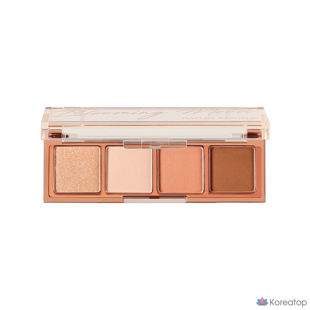 Палитра для макияжа Nature Republic Daily Basic 4 Palette, оттенок 04 Coral, 1 шт.