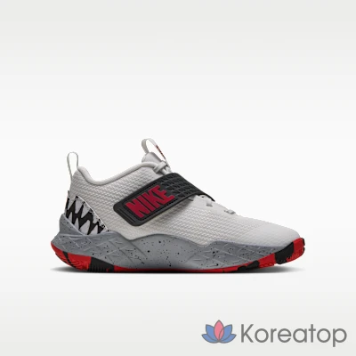 Кроссовки баскетбольные детские Nike Team Hustle D 12 SE