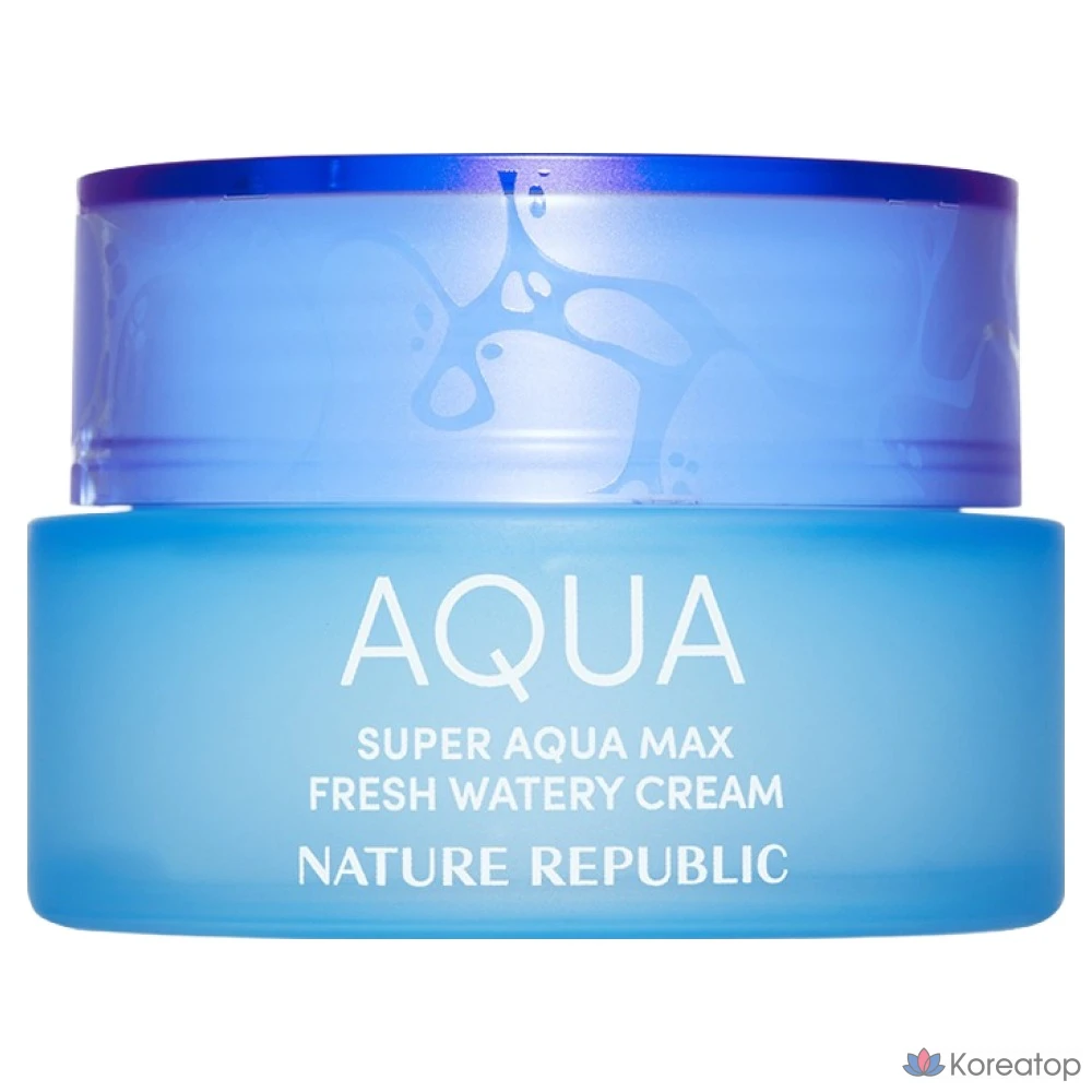 Увлажняющий крем Nature Republic Super Aqua Max Fresh For Oily Skin, 80 мл, 1 шт.