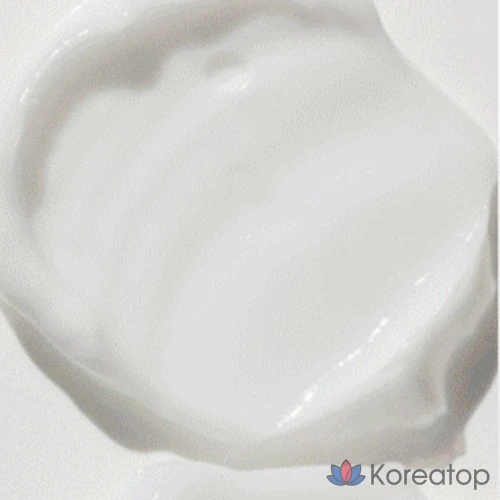 Крем для лица Nature Republic Shea Butter Moist Steam Cream, для нормальной и сухой кожи, 100 мл, 1 шт.