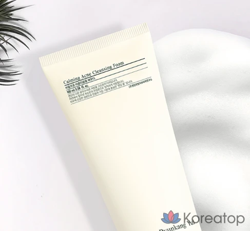 Очищающая пенка Pyunkang Yul Calming Acne Cleansing Foam, 100 мл, 1 шт.