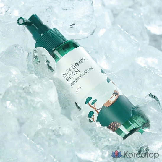 Тоник для кожи головы Round Lab Pine Calming Cica Hair Tonic, 100 мл, 1 шт.