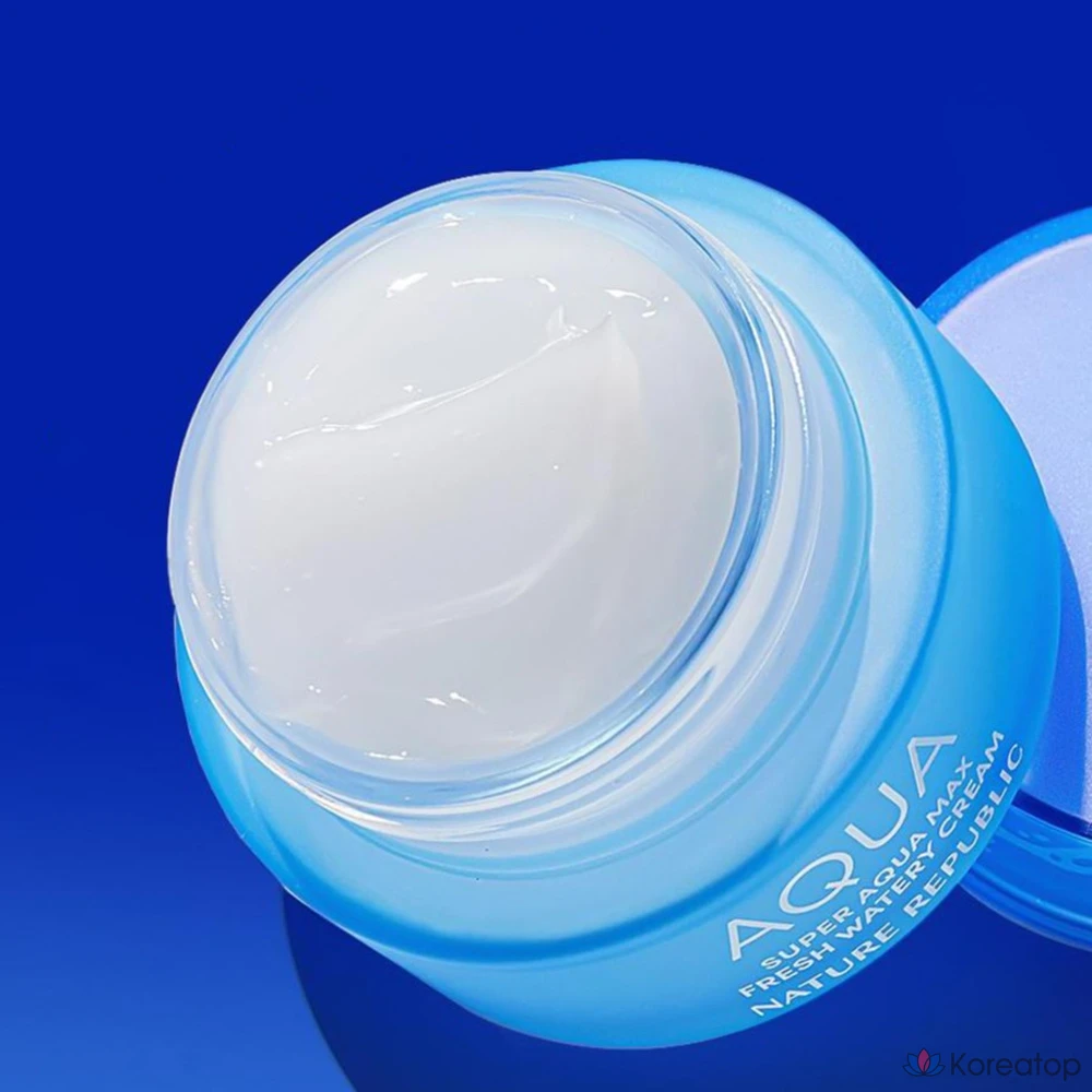 Увлажняющий крем Nature Republic Super Aqua Max Fresh For Oily Skin, 80 мл, 1 шт.