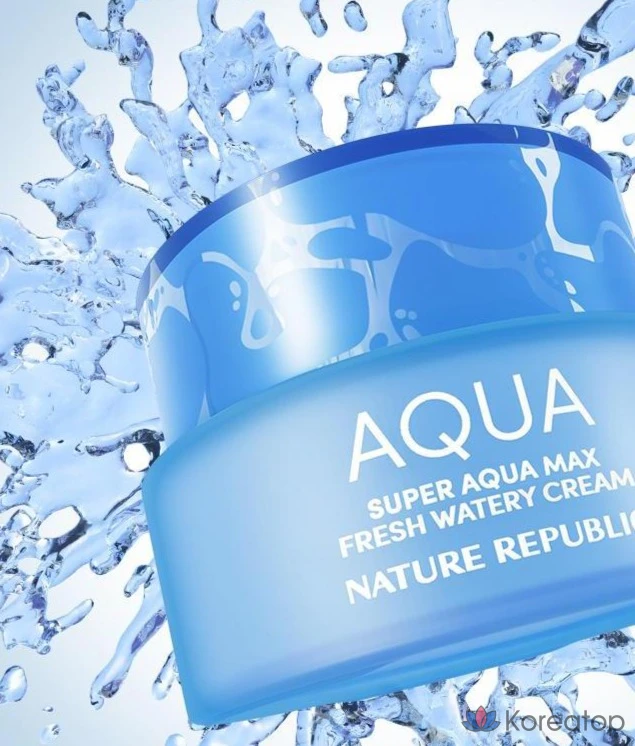 Увлажняющий крем Nature Republic Super Aqua Max Fresh For Oily Skin, 80 мл, 1 шт.