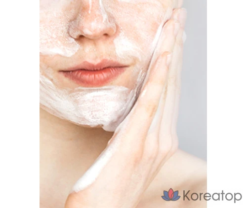 Очищающая пенка Pyunkang Yul Mild Acid Deep Cleansing Foam, 100 мл, 1 шт.