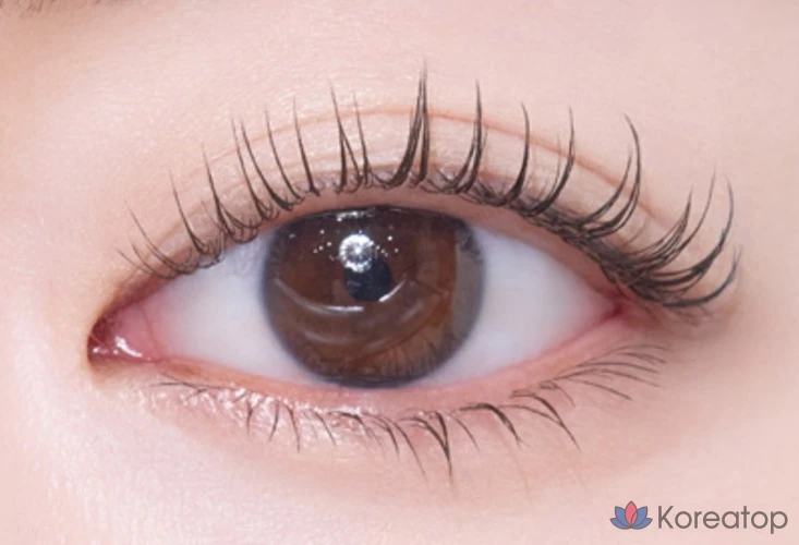 Тушь для ресниц Etude House Doctor Mascara Fixer, оттенок 03 Brown, 6 г, 1 шт.