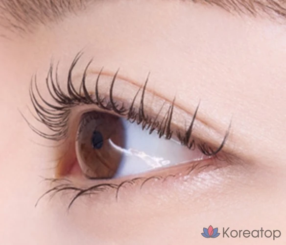 Тушь для ресниц Etude House Doctor Mascara Fixer, оттенок 03 Brown, 6 г, 1 шт.