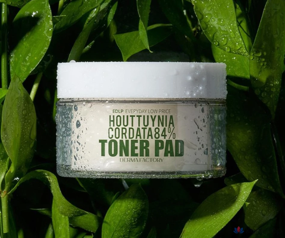 Тонер-пэды Derma Factory EDLP Houttuynia Cordata 84% Toner Pad, 150 мл, 30 шт.