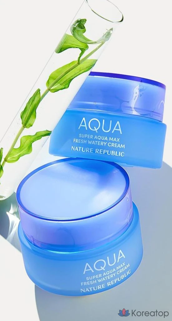 Увлажняющий крем Nature Republic Super Aqua Max Fresh For Oily Skin, 80 мл, 1 шт.