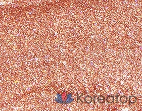 Жидкие тени для век Missha Glitter Prism Liquid Eyeshadow Shine, оттенок Dragon Fantasy, 1 шт.