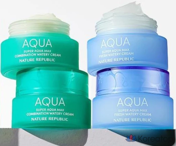 Увлажняющий крем Nature Republic Super Aqua Max Fresh For Oily Skin, 80 мл, 1 шт.