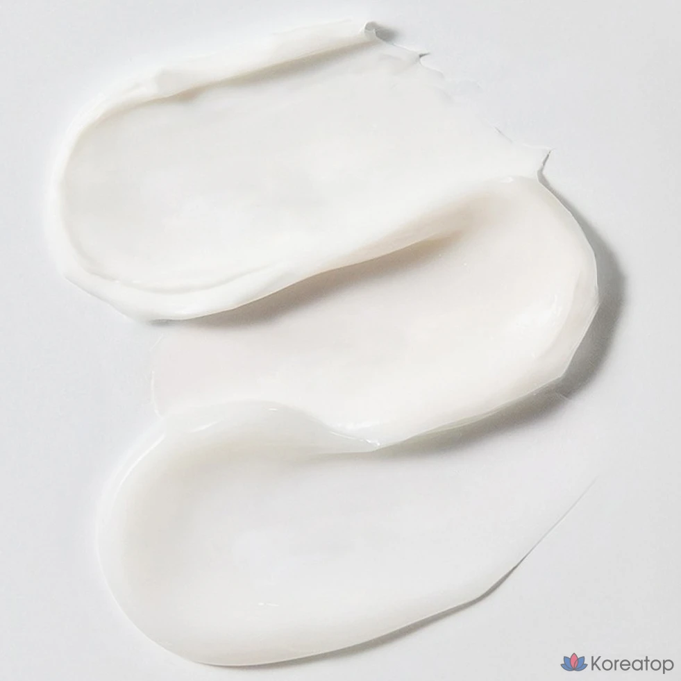 Крем для лица Nature Republic Shea Butter Moist Steam Cream, для нормальной и сухой кожи, 100 мл, 1 шт.
