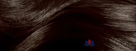 Краска для волос Elastine Salon de Color & Saichi, оттенок Black Brown, 1 шт., фото 5