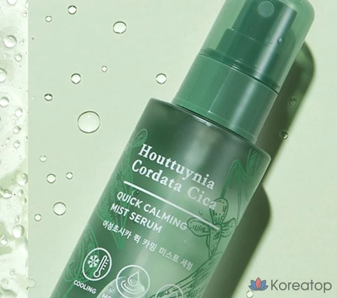 Сыворотка-спрей Tony Moly Cica Quick Calming Mist Serum, 110 мл, 1 шт.