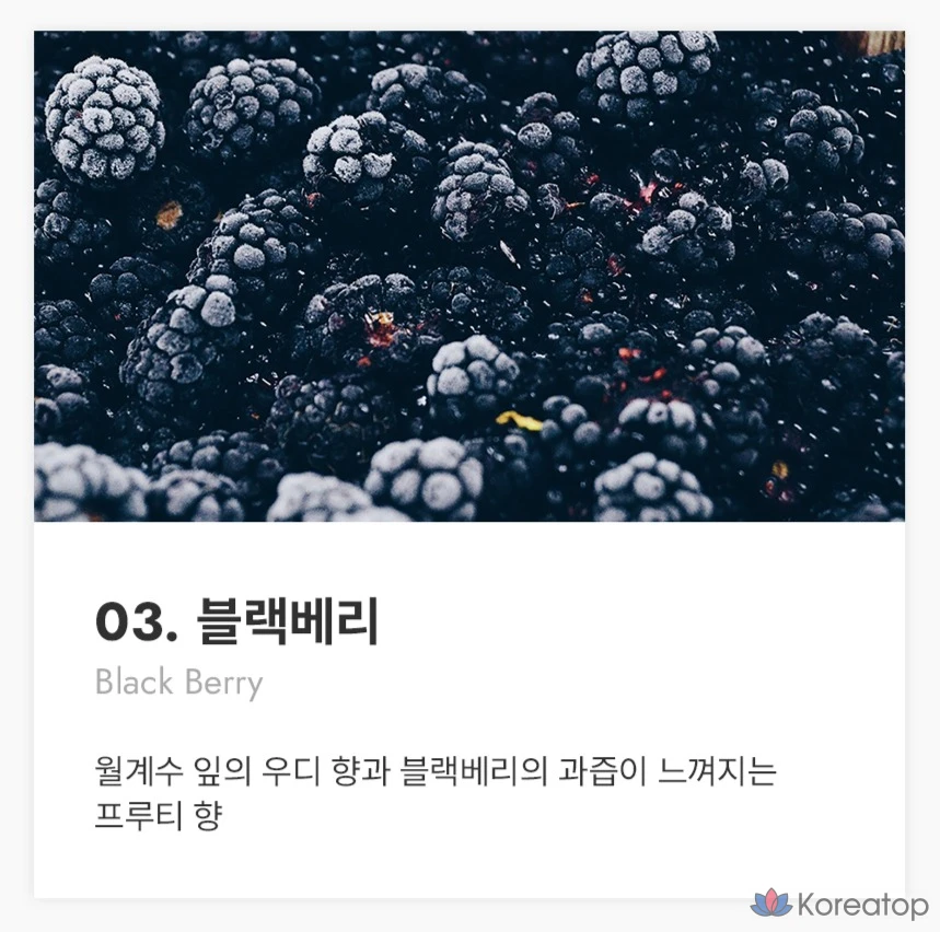 Парфюмерная вода 912 Niche Perfume Blackberry, 40 мл, 1 шт.