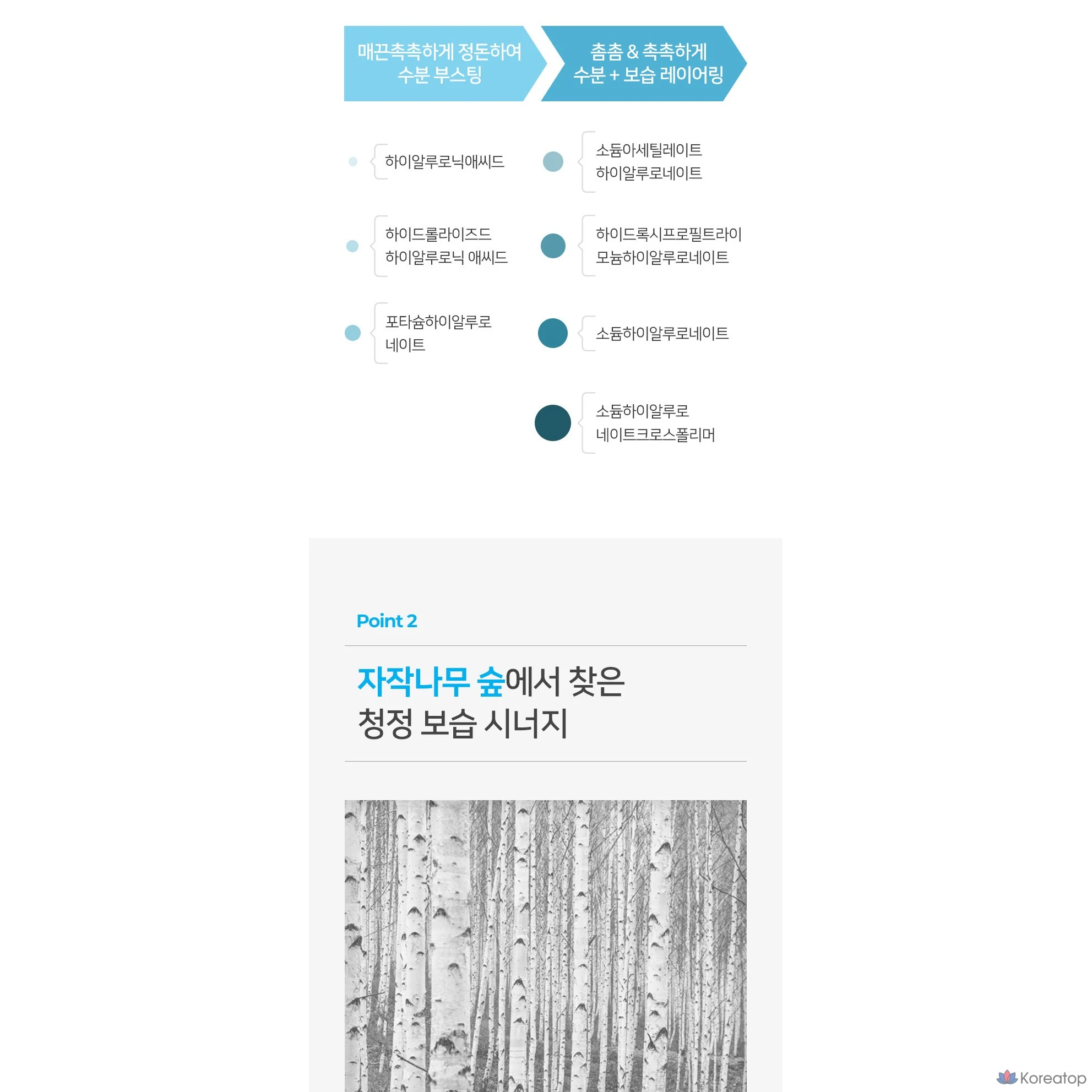 Тонер Coreana Shineez Water Fit Hyaluron Skin, 310 мл, 1 шт.