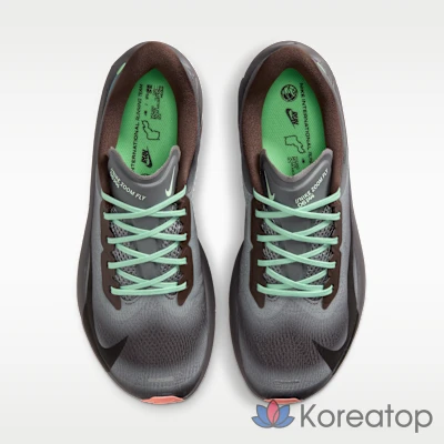 Кроссовки мужские Nike Zoom Fly 6