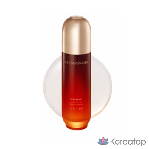 Набор для ухода Chogongjin Soseng Tanyuk Care Essential 2-piece Set, 1 шт.
