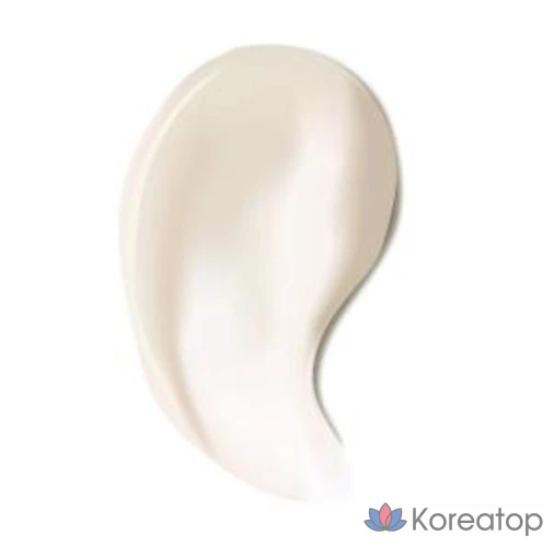 Солнцезащитный крем Derma Factory Fresh Moisture Sun Cream SPF50+ PA++++, 50 г, 1 шт.