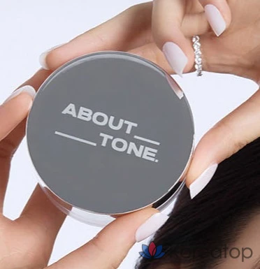 Пудра ABOUT TONE The Blur Finish Powder, 10 г, 1 шт.