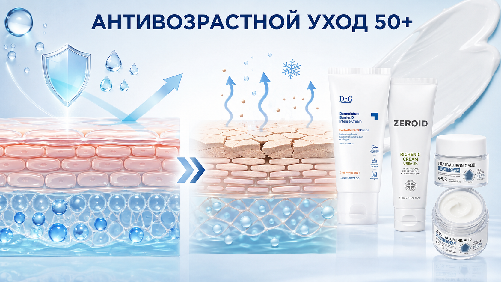 Антивозрастной уход 50+: как возрастные изменения кожи влияют на сухость, потерю влаги и выбор увлажняющего крема для лица.