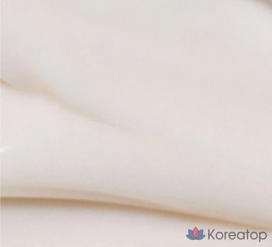 Крем Innisfree Green Tea Seed Hyaluronic Acid Cream, 80 мл, 1 шт., фото 5