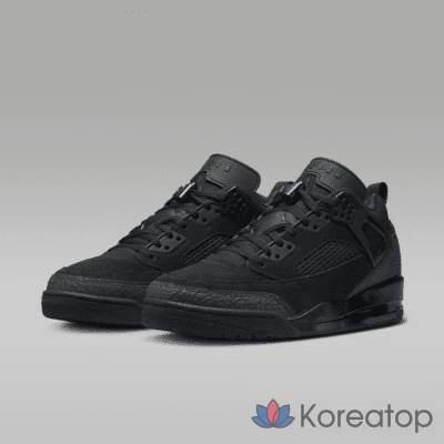 Кроссовки мужские Jordan Spizike Low