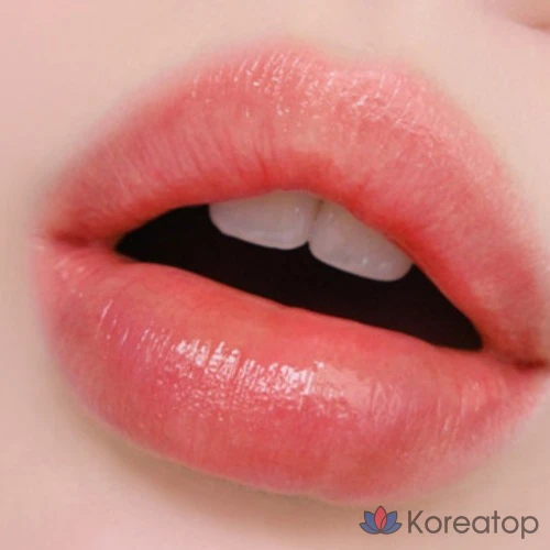 Тинт-бальзам для губ Jungsaemmool Lipression Water Tinted Lip Balm, оттенок Montana, 4.5 г, 1 шт.