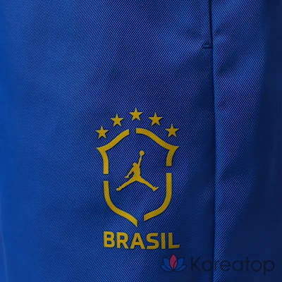 Брюки мужские Jordan Draft Pants