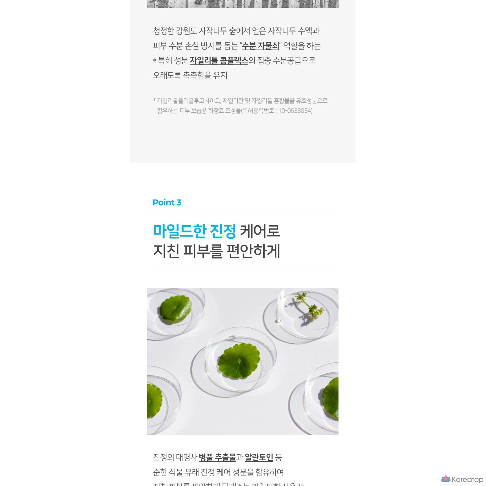 Тонер Coreana Shineez Water Fit Hyaluron Skin, 310 мл, 1 шт.