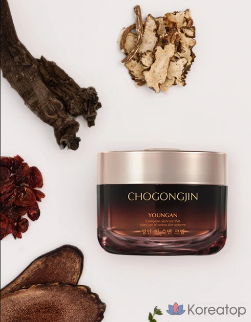 Ночной крем Chogongjin Youngan Jin Sleeping Cream, 100 мл, 1 шт.