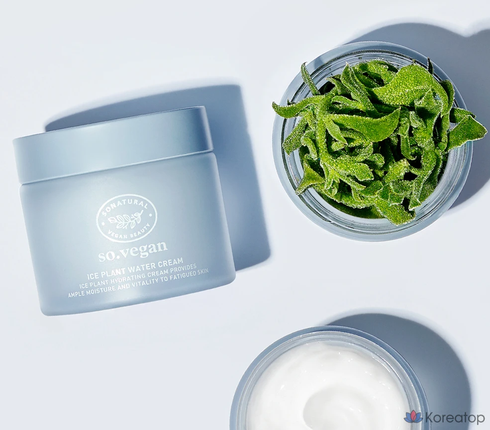 Крем для лица So Natural So Vegan Ice Plant Water Cream, 70 мл, 1 шт.