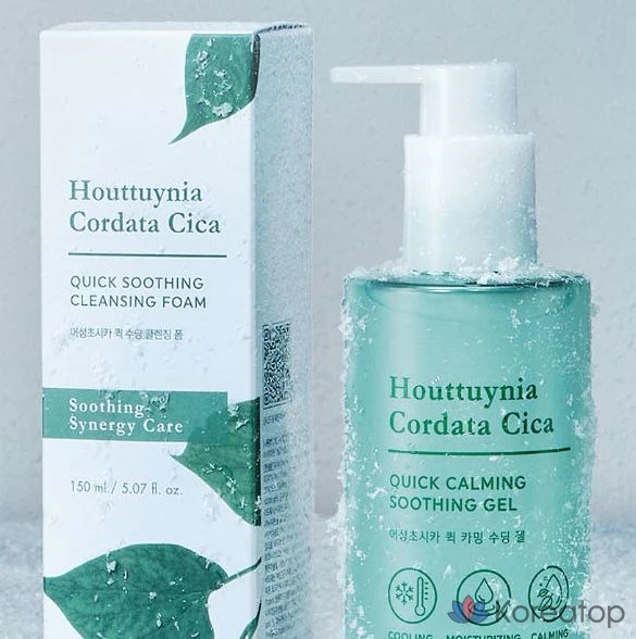 Успокаивающий гель Tony Moly Houttuynia Cordata Cica Quick Calming Soothing Gel, 300 мл, 1 шт.