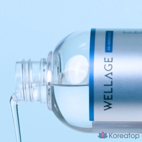 Тонер WELLAGE Real Hyaluronic 100 Toner, 200 мл, 1 шт.