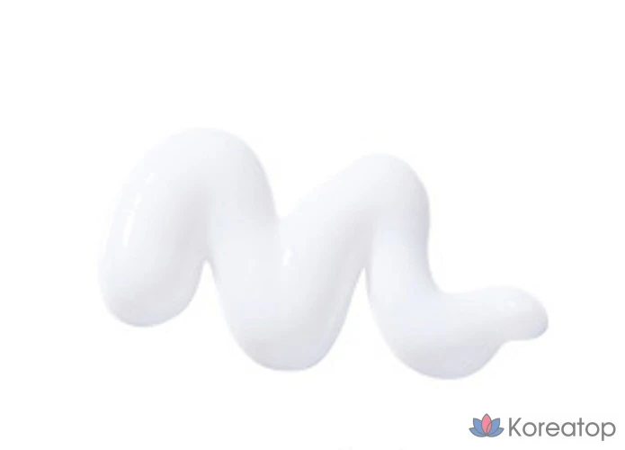 Эссенция Skinfood Pantothenic Silence Essence, 100 мл, 1 шт.