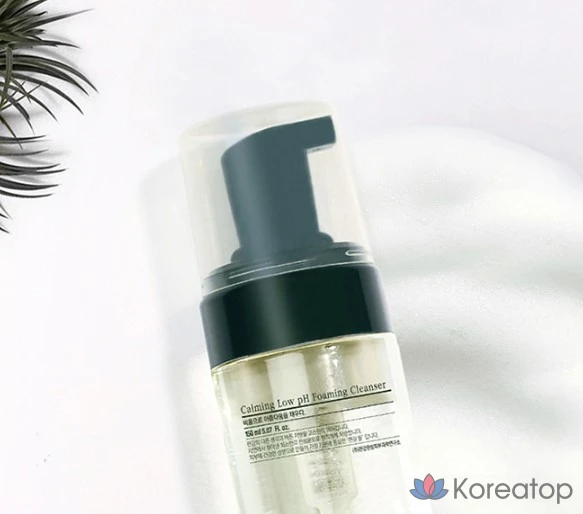 Пенка для умывания Pyunkang Yul Calming Low pH Foaming Cleanser, 150 мл, 1 шт.