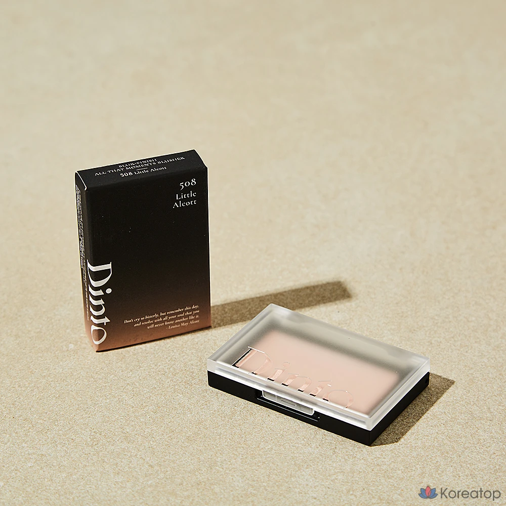 Блушер Dinto All That Moments Blusher, оттенок 508 Little Allcot, 1 шт.