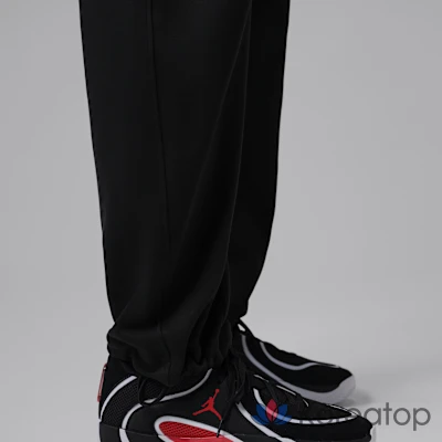 Брюки мужские Jordan Sport Hoop Fleece Dri-FIT