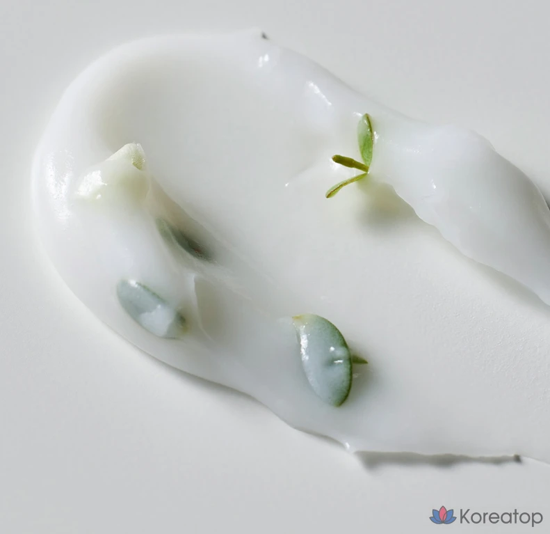 Крем THE LAB by blanc doux Green Flavonoid 3.0 Cream, 50 мл, 1 шт.
