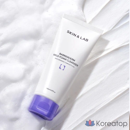 Пенка для умывания SKIN&LAB Barrierdome Mild Foam Cleanser, 150 мл, 1 шт.