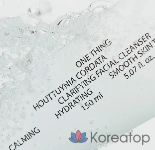 Пенка для умывания One Thing Artemisia Capillaris Foam Cleansing, 150 мл, 1 шт.